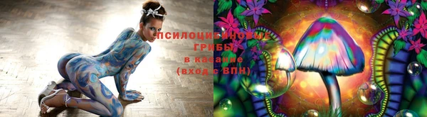 винт Зеленокумск